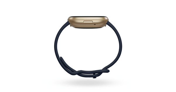 fitbit grey versa