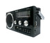 SONAR วิทยุ FM/AM รุ่น SP-202 - ลายไม้สีดำ