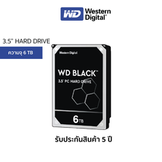 WD Internal Hard Drive BLACK 6 TB ฮาร์ดดิสก์ BLACK  6  TB HDD 3.5 (WD6003FZBX)