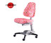 Comf-Pro เก้าอี้เพื่อสุขภาพ รุ่น Y618 - Pink-Flower