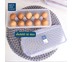 Super Lock กล่องเก็บไข่ 10 ฟอง แพ็ก 3 ชิ้น Egg Storage รุ่น 6110-X03 วางซ้อนกันได้
