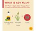 ACV Plus ผลิตภัณฑ์เสริมอาหาร เอซีวีพลัส Probiotic Detox จำนวน 7 ซอง/กล่อง