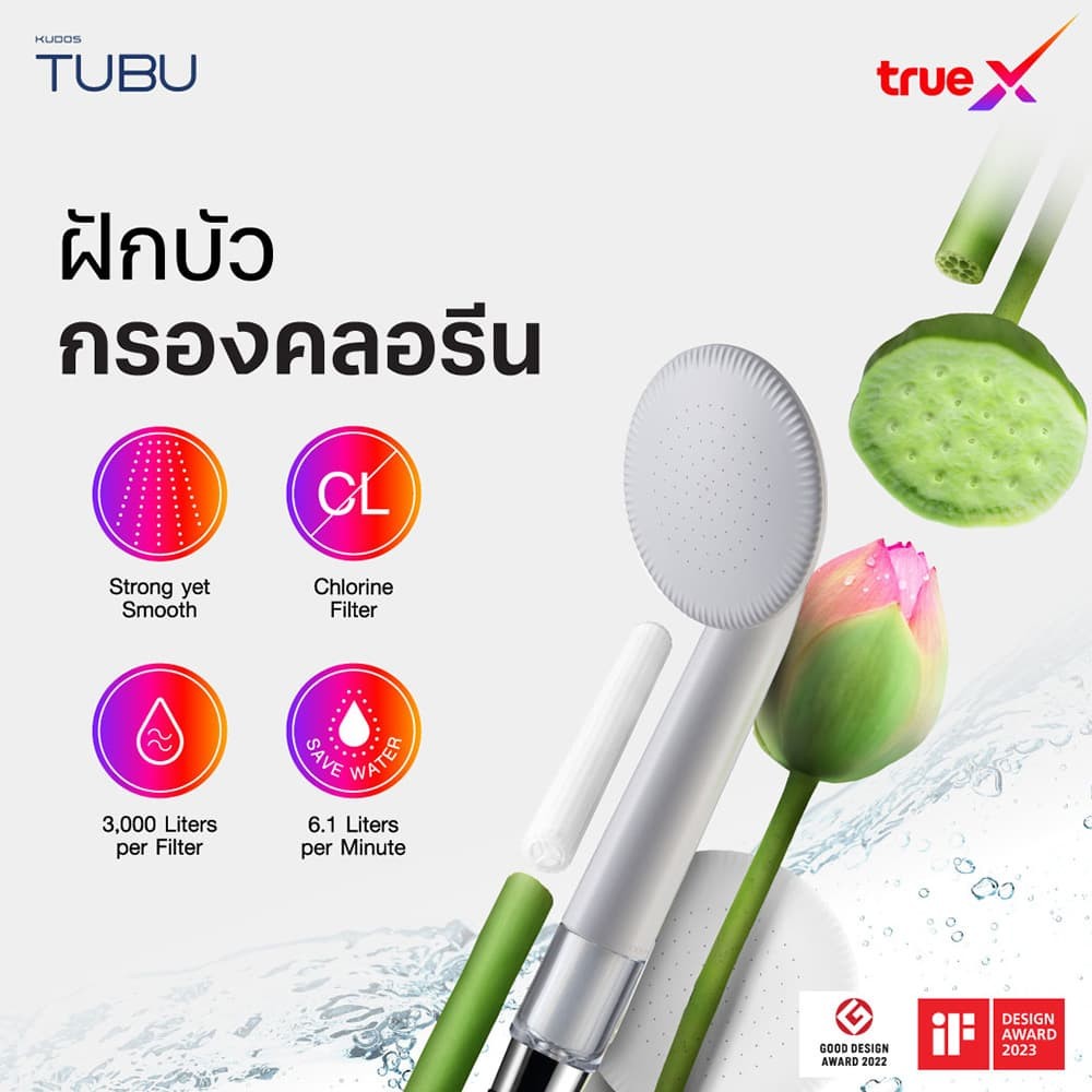 20250217_tubu-x-truex_p5.jpg