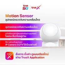 TrueLivingTECH Motion Sensor