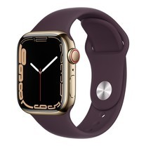 Apple Watch Series 7 GPS + Cellular, Stainless Steel Case, Sport Band