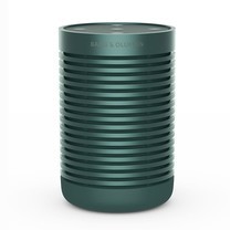 B&O BESOUND EXPLORE - GREEN