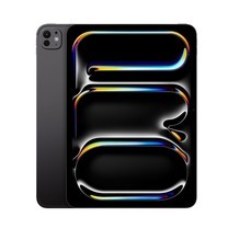 iPad Pro 13 (M4) 2024 Wi-Fi+Cellular