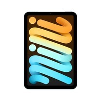 iPad Mini7 Wi-Fi + Cellular