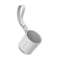 SONY SPEAKER XB100 GRAY