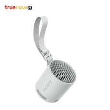 SONY SPEAKER XB100 GRAY