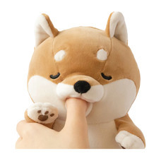 AMAGAMI HAM HAM