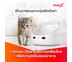 Petoneer NutriCare Feeder PF009 เครื่องให้อาหารสัตว์ อัตโนมัติ