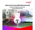 TrueX Smart Camera Outdoor 2 4G Solar กล้องวงจรปิดอัจฉริยะภายนอก 2 4G โซลาร์