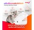 Petoneer NutriCare Feeder PF009 เครื่องให้อาหารสัตว์ อัตโนมัติ