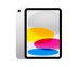 iPad 11