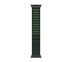 Apple Watch Ultra 2 Black Titanium Case with Dark Green Alpine Loop - Medium