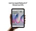 iPad Mini7 Wi-Fi + Cellular