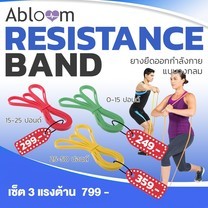 ยางยืดออกกำลังกาย แบบวงกลม (Pull Up Resistance Band Exercise Loop ) (มีสีให้เลือก)