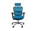 DF Prochair | เก้าอี้เพื่อสุขภาพ รุ่น Ergo2