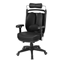 Ergotrend เก้าอี้เพื่อสุขภาพ เก้าอี้ทำงาน เก้าอี้สำนักงาน เออร์โกเทรน รุ่น Dual-08BFP ผ้าดำ