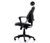 Ergotrend เก้าอี้เพื่อสุขภาพ เก้าอี้ทำงาน เก้าอี้สำนักงาน เออร์โกเทรน รุ่น Dual NL-05BPP สีดำ
