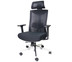 Ergotrend เก้าอี้เพื่อสุขภาพเออร์โกเทรน รุ่น Dual-X