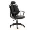 Ergotrend เก้าอี้เพื่อสุขภาพ เก้าอี้ทำงาน เก้าอี้สำนักงาน เออร์โกเทรน รุ่น Dual-02BPP - สีดำ