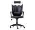 Ergotrend เก้าอี้เพื่อสุขภาพ เก้าอี้ทำงาน เก้าอี้สำนักงาน เออร์โกเทรน รุ่น Dual NL-05BPP สีดำ