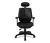 Ergotrend เก้าอี้เพื่อสุขภาพ รุ่น Dual-06BFF - สีดำ