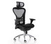 Ergotrend เก้าอี้เพื่อสุขภาพเออร์โกเทรน รุ่น CHARM-01BMF with headrest