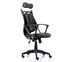 Ergotrend เก้าอี้เพื่อสุขภาพ เก้าอี้ทำงาน เก้าอี้สำนักงาน เออร์โกเทรน รุ่น Dual-05BPP - สีดำ