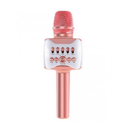 AJ ไมโครโฟนไร้สาย รุ่น PM-001 Wireless Microphone Karaoke