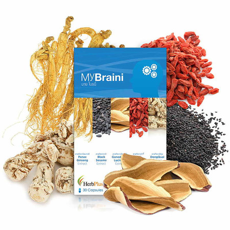 Herb Plus MyBraini (มาย ไบรนี่) สมุนไพรบำรุงสมอง 30 แคปซูล