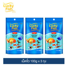 ลัคกี้ฟิช (เม็ดจิ๋ว) 100g (แพ็ค3) / Lucky Fish (Mini) 100g. (3 Packs)