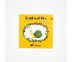 Jolly Phonics Read and See, Pack 2 (12 titles)