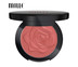 MILLE LOVE IS PASSION BLUSHER #04 UP TOWN GIRL
