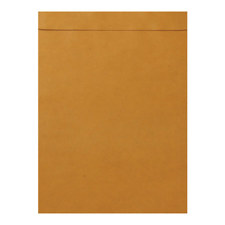 ซองน้ำตาล กาวซิลิคอน KA 125g 9x12 3/4