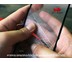 ฟิล์มกระจก iPhone SE (2020) ไอโฟน บูลอาเมอร์ ฟิล์มกันรอยมือถือ 9H+ ติดง่าย สัมผัสลื่น