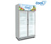 The Cool ตู้แช่เย็น2ประตู รุ่น ALEX 2P PLUS ความจุ 25 คิว (สินค้าหมด)