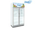 The Cool ตู้แช่เย็น2ประตู รุ่น ALEX 2P PLUS ความจุ 25 คิว (สินค้าหมด)