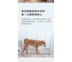 Xiaomi น้ำพุน้องแมว/หมา มีระบบกรองน้ำ 4 ชั้น Xiaomi Mijia Kitten&Puppy