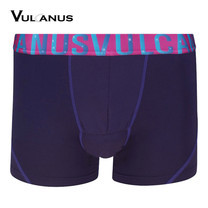 Vulcanus กางเกงในเสริมสมรรถภาพ (บุรุษ) Men's Functional Underwear - สีม่วง