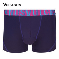 Vulcanus กางเกงในเสริมสมรรถภาพ (บุรุษ) Men's Functional Underwear - สีม่วง