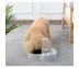 Mosianai เครื่องให้น้ำอัตโนมัติสำหรับสัตว์เลี้ยง เครื่องให้อาหารและน้ำอัตโนมัติ เครื่องให้อาหารสัตว์เสี้ยง Pet Automatic Feeder Dog Cat Drinking Bowl 550ML