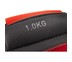 Reebok สายรัดข้อเท้าถ่วงน้ำหนัก - 1.0 กก. (สีดำ/แดง) 1 คู่ (Flexlock Ankle Weights - 1.0Kg)