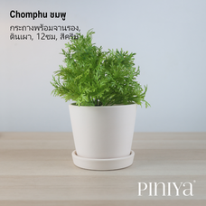 Piniya Chomphu ชมพู กระถางต้นไม้พร้อมจานรอง, ดินเผา, 12ซม., สีครีม